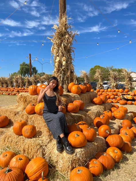 Pumpkin Farm Pictures, Pumpkin Patch Instagram Pictures, Fall Hangout, Pumpkin Patch Instagram, Farm Photoshoot, Hangout Ideas, Pumpkin Patch Pictures, Farm Pictures, Fall Mood Board