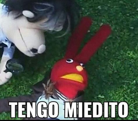 Funny memes to make you laugh 😂 Find the best memes to share with friends and family on Pinterest. #memes #funnymemes . #Funny_Mexican_Pictures #Pingu_Memes #Funny_Spanish_Memes #Humor_Mexicano Funny Mexican Pictures, Pingu Memes, Mexican Memes, Humor Mexicano, Funny Spanish Memes, Stickers Design, Spanish Memes, Anime Stickers, Wholesome Memes