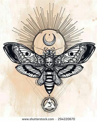 Tattoo Sonne, Saturn Sign, Moth Tattoo Design, Sun Tattoo Designs, Kunst Tattoos, Insect Tattoo, Sun Tattoos, Hawk Moth, Moth Tattoo