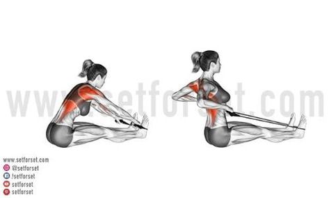 Seated Cable Row At Home, Seated Cable Row, Home Exercises, Cable Row, Major Muscles, Your Back, At Home Workouts, The Row, At Home