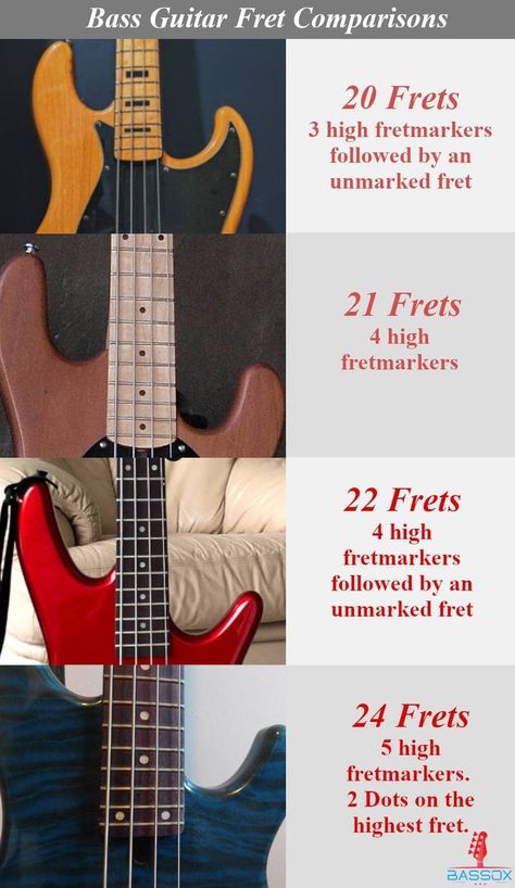 Photo of 20, 21, 22 and 24 fret bass and how to identify the difference between them Types Of Bass Guitars, Learn Bass Guitar, Bass Guitar Chords, Bass Guitar Lessons, Bass Players, Distortion Pedal, Piano Chords, Bass Guitars, Bass Player