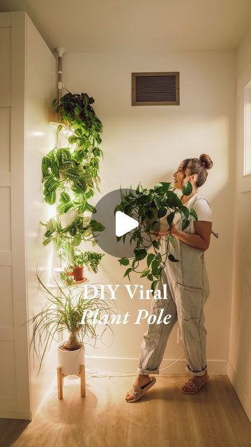 Anh Lin on Instagram: "A plant pole that’s made with a shower caddy?! 🤯 Sign me up!! Comment “LINK” below & I’ll send you this whole setup! 👇🏼

Thank you to @houseplusplant for sharing this genius idea and inspiring us all! ❤️

#garden #gardening #gardeninglife #gardendesign #gardeninspiration #gardenlove #gardendecor #houseplants #houseplant #houseplantclub #houseplantcommunity #houseplantsmakemehappy" Shower Caddy Plant Stand, Plant Pole, Diy Plant Stand, Plant Stands, Shower Caddy, Flower Ideas, Diy Plants, Oil Plant, African Violets