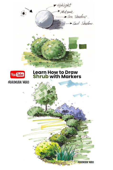 Learn how to draw shrubs using markers. #markerart #drawing #copicmarkers #markersketch #drawingtutorial #architecturesketch Shrubs Drawing Architecture, Landscape Marker Drawing, Shrubs Drawing, How To Draw Landscape, Draw Bushes, Sketches Detailed, Garden Design Drawing, How To Draw Trees, Oil Painting Brushes