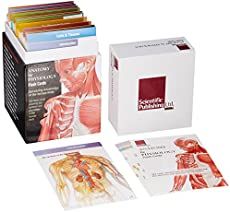 Anatomy Notebooking Pages | Cynce's Place Anatomi Dan Fisiologi, John Ashton, Medical Series, Medical Books, Anatomy Physiology, Muscular System, Human Anatomy And Physiology, Free Pdf Books, Best Way To Study