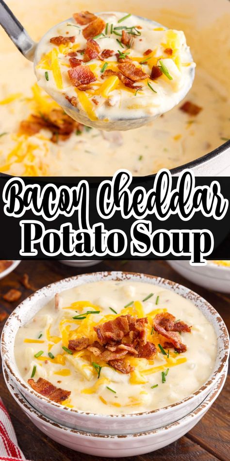 Cheesy bacon cheddar soup is made with only a few flavorful ingredients, is thick, creamy, and ready in under an hour! Top with bacon, chives, and cheese for extra richness! Cheddar Bacon Potato Soup, Cheddar Potato Soup, Bacon Cheese Potatoes, Potato Cheddar Soup, Bacon Soup Recipes, Cheesy Bacon Potatoes, Cheddar Soup Recipe, Potato Bacon Soup, Cheddar Potatoes