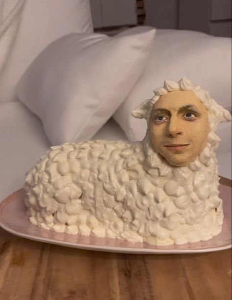 Michael Cera Birthday Cake, Michael Cera Cake, Clodagh Core, Michel Cera, Silly Cakes, Sheep Cake, Lamb Cake, Ugly Cakes, Michael Cera