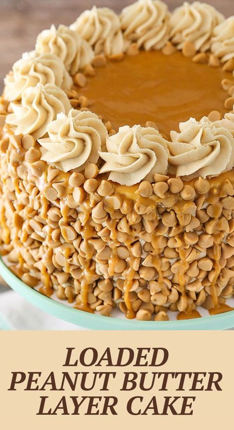 Peanut Butter Overload Cake, Reese Peanut Butter Cake Recipe, Peanut Butter Rice Cake Ideas, Peanut Butter Crunch Cake, Reeses Peanut Butter Cake Recipe, Vanilla Peanut Butter Cake, Peanut Butter Whiskey Cake, Peanut Butter Cake Recipe Homemade, Peanut Butter Cake Ideas