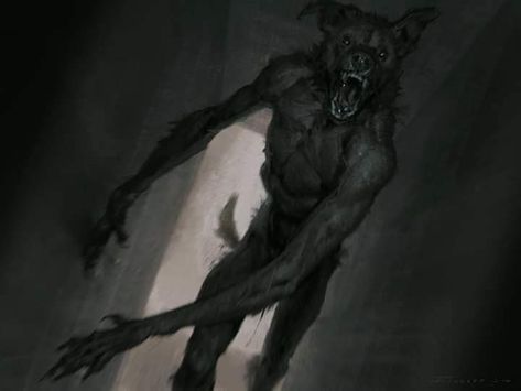 Taran Fiddler, Scary Wolf, Werewolf Girl, Werewolf Aesthetic, Apocalypse Art, Scary Dogs, Animal Illustration Art, Werewolf Art, Horror Monsters