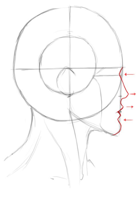 How To Draw The Side View of The Male Head Side Face Drawing, Head Step By Step, How To Draw Comics, Side View Of Face, Draw Head, Male Face Drawing, Side View Drawing, Head Anatomy, Draw Comics