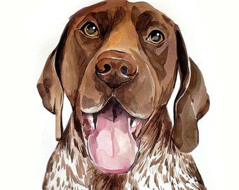 Watercolor German Shorthair Pointer, German Shorthaired Pointer Painting, Pointer Painting, Portraits Pop Art, Custom Pet Painting, Portrait Watercolor, Boy Mama, Watercolor Pet Portraits, Custom Dog Portraits