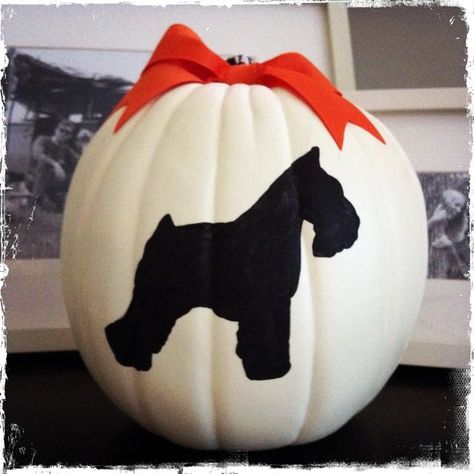 Painted Pumpkin! Schnauzer Love!!! #halloween #pumpkin #schnauzer #fall Schnauzer Pumpkin, Boxer Painting, Pumpkin Painted, Schnauzer Art, Diy Star, Painted Pumpkin, Schnauzer Dogs, Pumpkin Painting, Mini Schnauzer