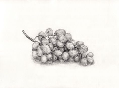 Grape, Painting, Drawing Grapes Drawing Pencil, Grape Sketch, Grapes Sketch, Grapes Drawing, Sv Logo, Grapes Art, Grape Drawing, Grape Painting, Fruits Drawing