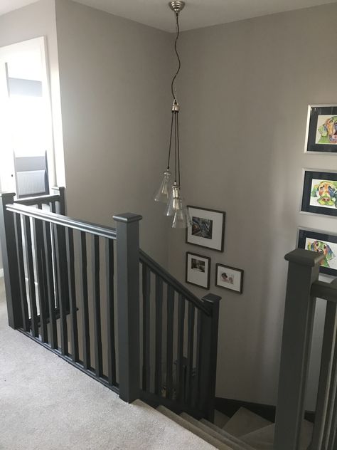 White Hall Black Banister, Dark Grey Woodwork Hallway, Painted Staircases With Carpet, Dark Grey Staircase Painted, Stair Banister Colours, Grey And Black Staircase, Black Grey And White Hallway, Grey Stairs And Hallway Ideas, Grey Bannister Ideas