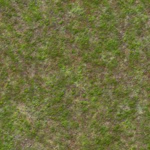 Wild Gras Texture Greenery Texture, Land Texture, Grass Texture Seamless, Photoshop Textures Backgrounds, Grass Paving, Steampunk Machine, Dirt Texture, Sandstone Texture, Ground Texture