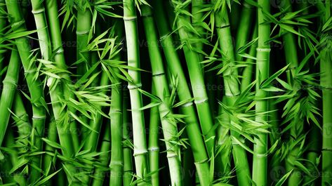 Green bamboo texture. Bamboo forest. Green grass in the sunshine. Bamboo tree leaf, plant stem. AI generated. Bamboo Texture, Green Bamboo, Leaf Plant, Bamboo Tree, Tree Saw, Bamboo Forest, Plant Stem, Heart Tree, Cityscape Photos