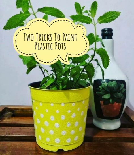 Decorate Black Nursery Pots, Painting On Plastic Pots, Plastic Pots Makeover, How To Paint Plastic Flower Pots, Painted Plastic Pots, Painting Plastic Pots, Painting Plastic Flower Pots, Acrylic Paint On Plastic, How To Paint Plastic