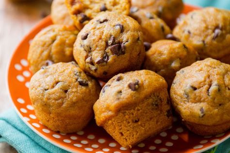 Pumpkin Chocolate Chip Muffin Recipe, Mini Pumpkin Muffins, Mini Muffin Recipe, Baked Oatmeal Cups, Pumpkin Coffee Cakes, Apple Cinnamon Muffins, Pumpkin Chocolate Chip Muffins, Sally's Baking, Pumpkin Chocolate Chip