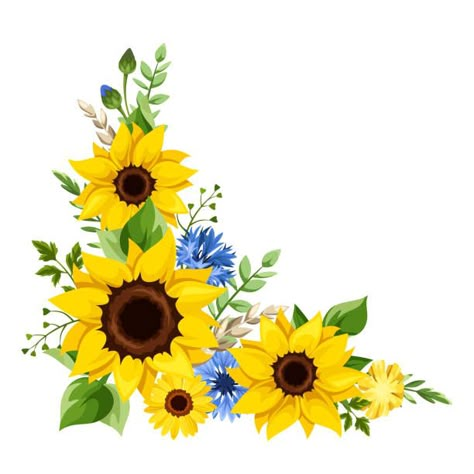 Sunflower Border Design, Flower Corner Border, Floral Corner Design, Boarder Designs Aesthetic, Sunflower Border, Corn Painting, Corner Border, Sunflower Images, Corner Borders