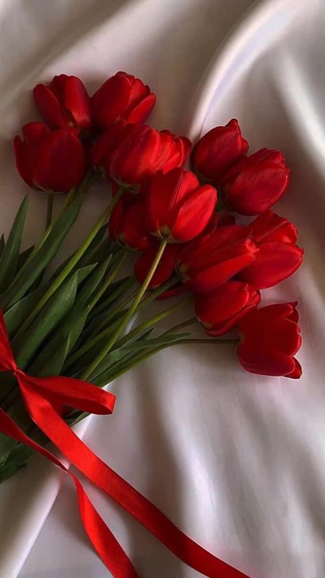 Boquette Flowers, Tulip Bouquet, Nothing But Flowers, Flower Therapy, Beautiful Bouquet Of Flowers, Red Tulips, Luxury Flowers, Tulips Flowers, Red Aesthetic