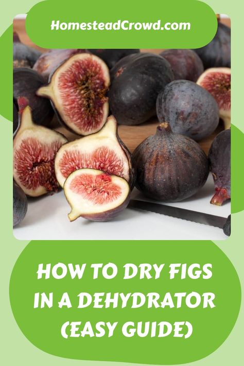 Learn how to maximize your fig harvest by preserving them through drying. Whether you use a dehydrator or oven, the result is delicious figs that will stay fresh for up to 2 years. Follow our straightforward guide to easily dry your figs at home and savor their sweetness all year long! Dehydrate Figs, Dried Bay Leaves, Chicken Eating, Fig Recipes, Dried Figs, Fresh Figs, Dehydrated Food, Did You Eat, Dehydrator Recipes