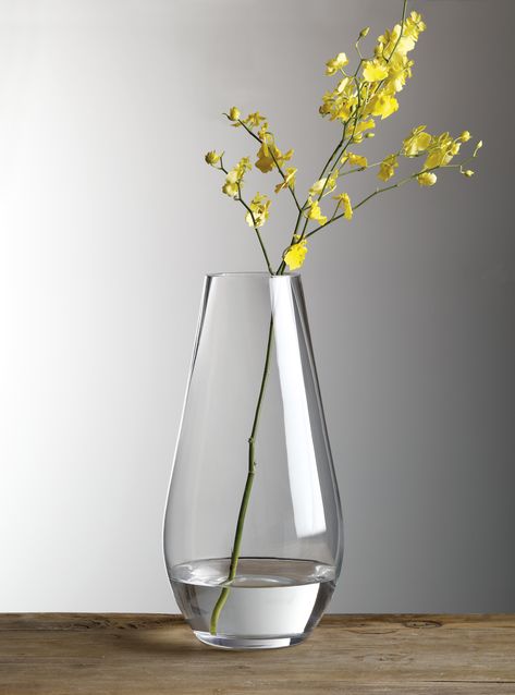 Vase With One Flower, Glass Vase Reference, Glass Vase With Flowers, Vases Glass, Clear Glass Vase, Glass Vase Aesthetic, Modern Glass Vase, Clear Vase With Flowers, Flowers And Vases