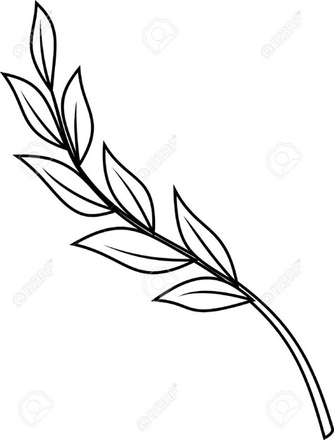 Laurel Branch Stock Vector Illustration And Royalty Free Laurel ... Floral Branch Tattoo, Laurel Tattoo, Blatt Tattoos, Laurel Branch, Branch Tattoo, Branch Vector, Fairy Tattoo, Floral Branch, Flower Stencil