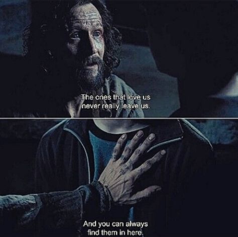 Love Sirius Black Harry Potter Dialogues, Movie Quotes Inspirational, Famous Dialogues, Perspective Quotes, The Prisoner, Harry Potter Scene, The Prisoner Of Azkaban, Savage Quotes, Prisoner Of Azkaban