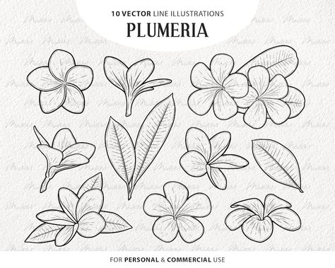 Plumeria Flower Tattoos, Tropical Flowers Illustration, Tropical Flower Tattoos, Botanical Vector, Line Illustrations, Beachy Art, Hawaii Flowers, Easy Flower Drawings, Vector Line Art