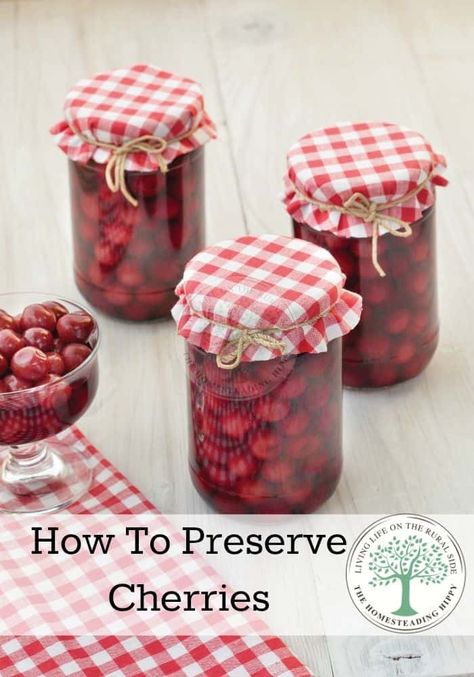 How to preserve cherries Canning Cherries, Canning Fruit, Homestead Kitchen, Freezer Recipes, Canning Tips, Canned Cherries, Canned Fruit, Fresh Recipes, Garden Food