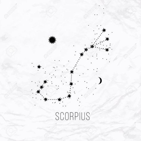 Scorpio Constellation Tattoos, Scorpio Zodiac Tattoos, Scorpio Star, Astrology Tattoo, Horoscope Tattoos, Scorpio Tattoo, Samoan Tattoo, Scorpion Tattoo, Zodiac Tattoos