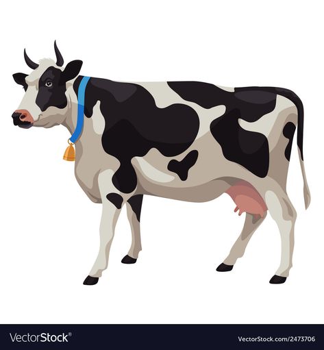 Black and white cow side view isolated Royalty Free Vector Cow Side View, Cow Cartoon Images, Images Of Cows, Black And White Cows, White Cows, Cow Eyes, Cow Logo, Cow Vector, Cow Drawing