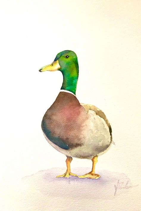 Original %100 hand painted watercolor art This duck painting is NOT A PRINT This is an ORIGINAL art Size 26 x 36 cm / 10 x14 inches Arches paper, %100 cotton, cold pressed #aquarelle #watercolor #duckpainting # duckaquarelle Animal Painting Watercolor, Watercolor Mallard Duck, Duck Watercolor Painting, Cute Duck Art, Mallard Duck Painting, Watercolour Duck, Duck Collage, Heated Chicken Waterer, Painting Cute Animals