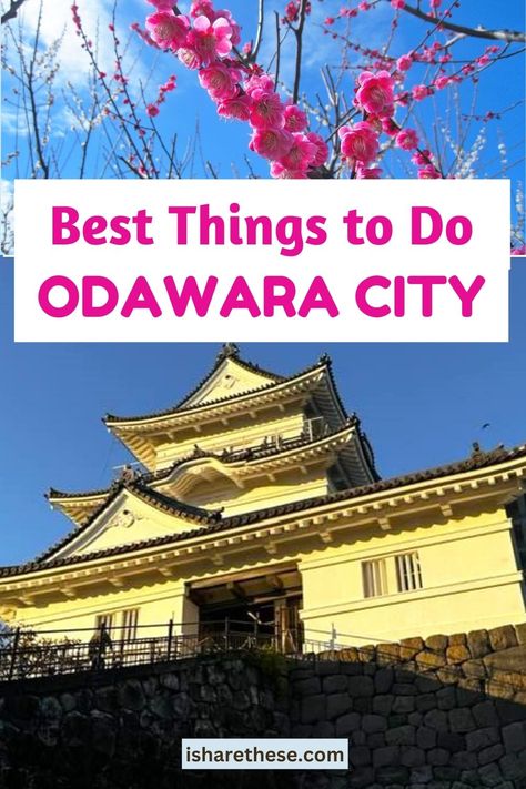 Planning to visit Odawara Japan? Chalking out an itinerary of best things to do in Odawara City? You have landed at the right place. We have made your task easier in this blog. Scroll down to see the detailed travel guide for Odawara Japan with all interesting activities. Odawara Japan, City In Japan, Tokyo Trip, Interesting Activities, Travel 2024, Japan Destinations, Tokyo Japan Travel, Japan Itinerary, Japan Vacation