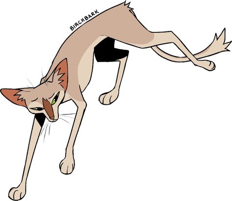 Art by niftysenpi Warrior Cats Designs, Nifty Senpai, Warrior Cat Designs, Warrior 3, Warrior Cats Fan Art, Warrior Cat Drawings, Warrior Cat Oc, Cat Oc, Warrior Cats Art