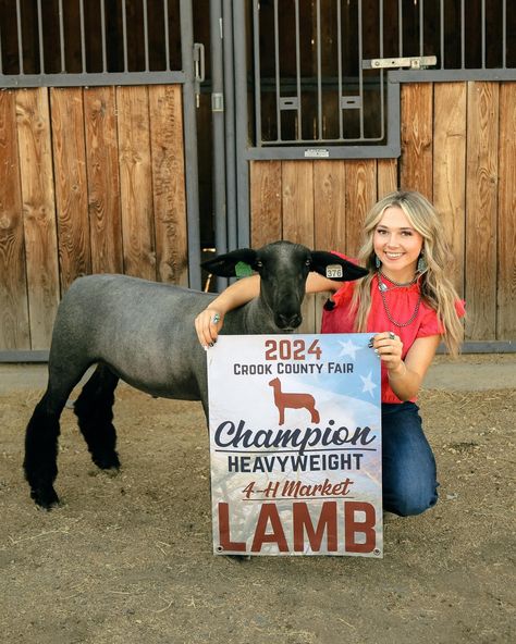 A moment for this stunning 4-H session! I had such an incredible time working with these girls and all of the other incredible people with fair projects this year! 🙌 • I cannot wait to share more of the other fun animals and projects I got to capture. I’m thinking this may be a yearly thing I will do… what do you guys think? 4-H and FFA minis at the fair next year? • #showlambs #ffa #4h #4hproject #crookcounty #countyfair #highschoolseniorportraits #showlamb #4hlambs #bestfriendgoals Fair Projects, Ffa, County Fair, High School Senior Portraits, Best Friend Goals, 4 H, These Girls, The Incredibles, In This Moment