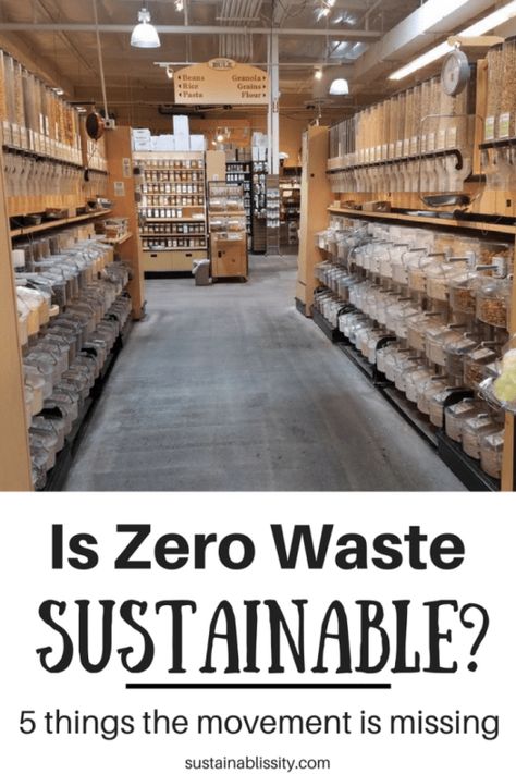 Is Zero Waste Actually Sustainable? - Sustainablissity Zero Waste Grocery Store, Zero Waste Grocery, Bulk Store, Organic Store, Zero Waste Store, Grocery Store Design, Eco Store, Plastic Free Living, Plastic Shopping Bags