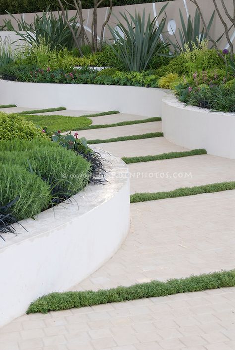 Garden Path with raised white wall beds and thymes in crevices in modern upscale garden with herbs, perennials, ornamental grasses, for classy effect in landscaping Zero Landscape, Bohemian Life, Sloped Garden, Deco Nature, Flower Stock, Garden Entrance, Fun House, Garden Steps, Walled Garden