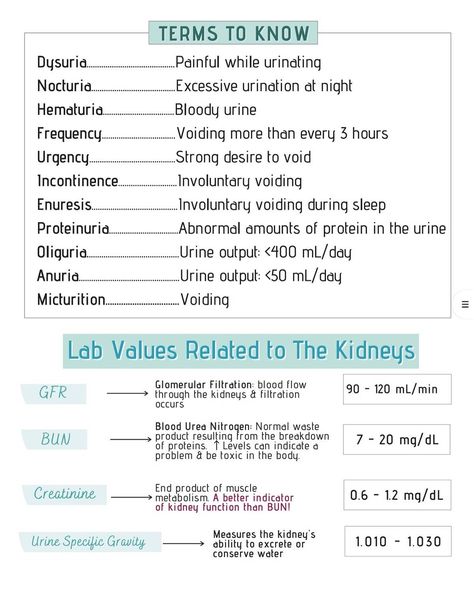 Follow @nursingwithomari for more nursing school cheat sheets Ems Study Cheat Sheets, Nurse Math Cheat Sheet, Telemetry Nursing Cheat Sheets, Nurse Charting Cheat Sheets, Vitals Cheat Sheet, Nursing Math Cheat Sheet, Nursing Study Notes Cheat Sheets, Nursing Assessment Cheat Sheet, Medical Terminology Study Cheat Sheets