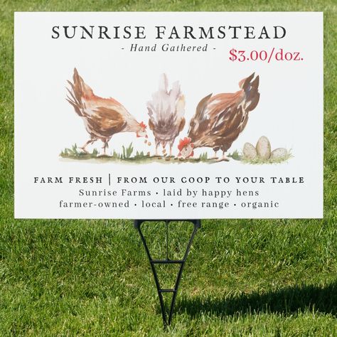 Farm Fresh Eggs For Sale, Eggs For Sale Sign, Fresh Eggs For Sale, Farmhouse Eggs, Sunrise Farm, Eggs For Sale, Sale Sign, Chicken Garden, Backyard Chicken Coops