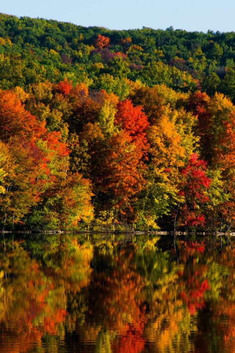 New England Fall Aesthetic, Autumn In Massachusetts, New England Fall Photography, Fall Foliage In Massachusetts, Massachusetts Nature, Season Palette, Massachusetts Fall Foliage, New Forest England, New England Autumn