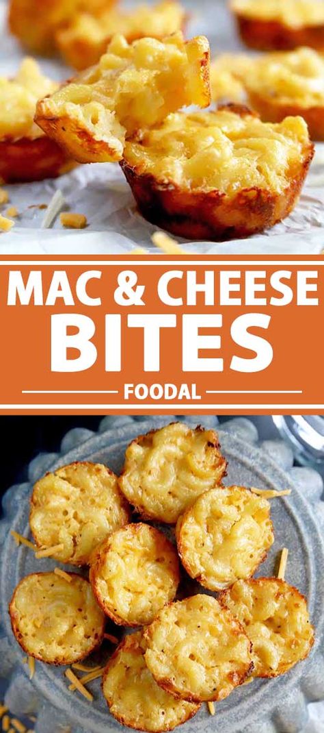 Get all the comfort food vibes of your favorite mac and cheese dinner in a handheld bite! We bake our mini mac and cheese bites in a muffin tin until they’re crispy on the outside and gooey on the inside. They’re a fun appetizer for adults, and a cool meal for kids. Read more. #macandcheese #fingerfood #foodal Mini Mac And Cheese Bites, Mac And Cheese Bites Recipe, Mini Mac And Cheese, Mini Muffin Tin Recipes, Mac And Cheese Muffins, Mac N Cheese Bites, Muffin Pan Recipes, Cheese Bites Recipe, Mac And Cheese Cups