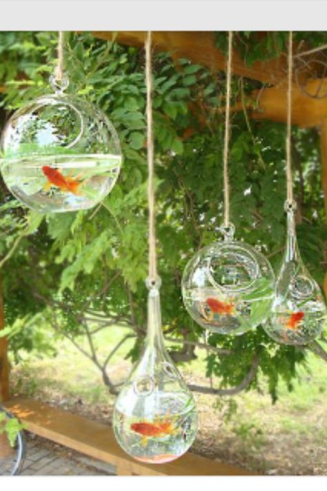 So the  kids can't touch them Vase Hanging, Unique Fish Tanks, Water Terrarium, Glass Fish Tanks, Vase Modern, Betta Fish Tank, Europe Style, Fish House, Aquarium Design