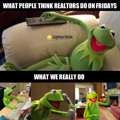 Funny, I didn't know frogs could get licensed... #realestatehumor #realestatecartoon Realtor Memes, Realtor Humor, Inmobiliaria Ideas, Real Estate Fun, Real Estate Memes, Real Estate Career, Real Estate Humor, Real Estate Quotes, Real Estate Sales