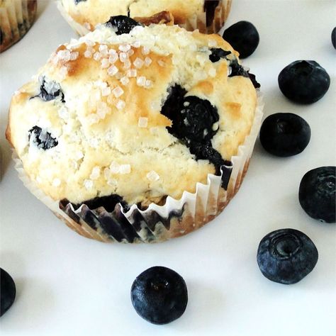 Blueberry Nut Muffins Cake Mix Blueberry Muffins, Nut Muffins Recipe, Ricotta Muffins, Nut Muffins, Applesauce Muffins, Best Blueberry Muffins, University Of Ottawa, Muffin Recipes Blueberry, Muffin Batter