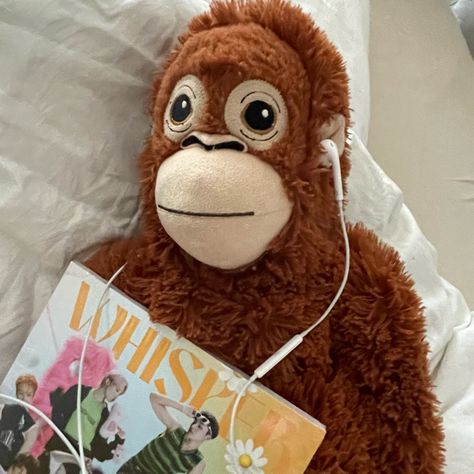 monkey, plushie, ikea aesthetic Ikea Orangutan, Stuffed Animals Aesthetic, Aesthetic Monkey, Monkey Teddy, Ikea Aesthetic, Ikea Monkey, Monkey Teddy Bear, Monkey Pose, Monkey Cute