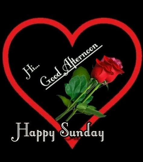 Good Afternoon Happy Sunday, Happy Sunday Images, Sunday Images, Beautiful Morning Messages, Sunday Quotes, Good Night Greetings, Beautiful Morning, Good Afternoon, Morning Messages