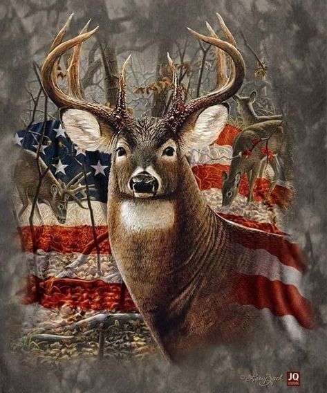 Deer Hunting Wallpapers  Best Collection Of Deer Wallpapers  Apps   148Apps