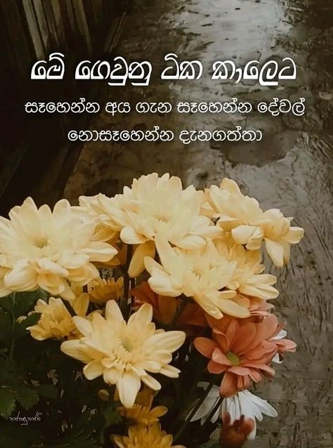 Sinhala Wadan, Good Morning Kisses, Morning Kisses, Wallpaper Nature Flowers, Wallpaper Nature, Nature Flowers, Rain Photography, Morning Quotes, Good Morning Quotes