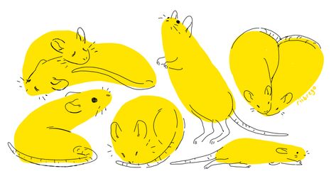 Cute Rat Drawings, Mouse Drawing, A Rat, Cute Rats, Art Poses, Creature Design, Animal Illustration, Art Reference Poses, Mice