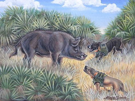 Pig Hunting Dogs, Hunting Drawings, Pig Hunting, Florida Wildlife, Boar Hunting, Etching Ideas, Hog Hunting, Wildlife Painting, Hunting Art